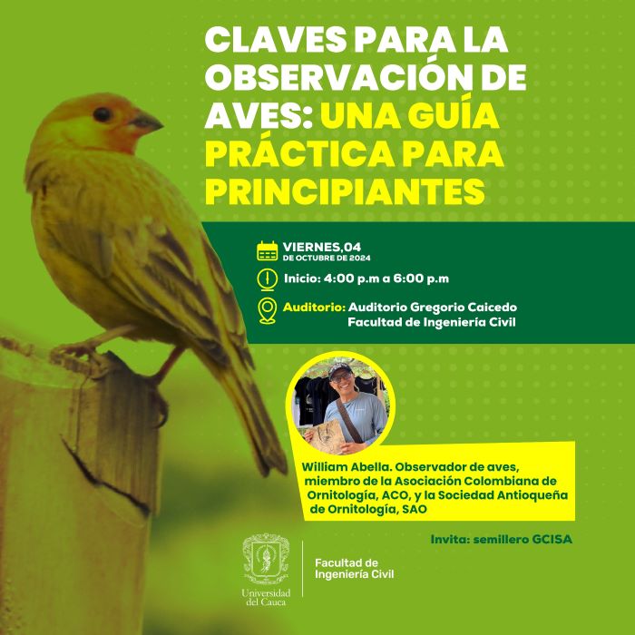 Claves para la observación de aves: Una guía práctica para principiantes