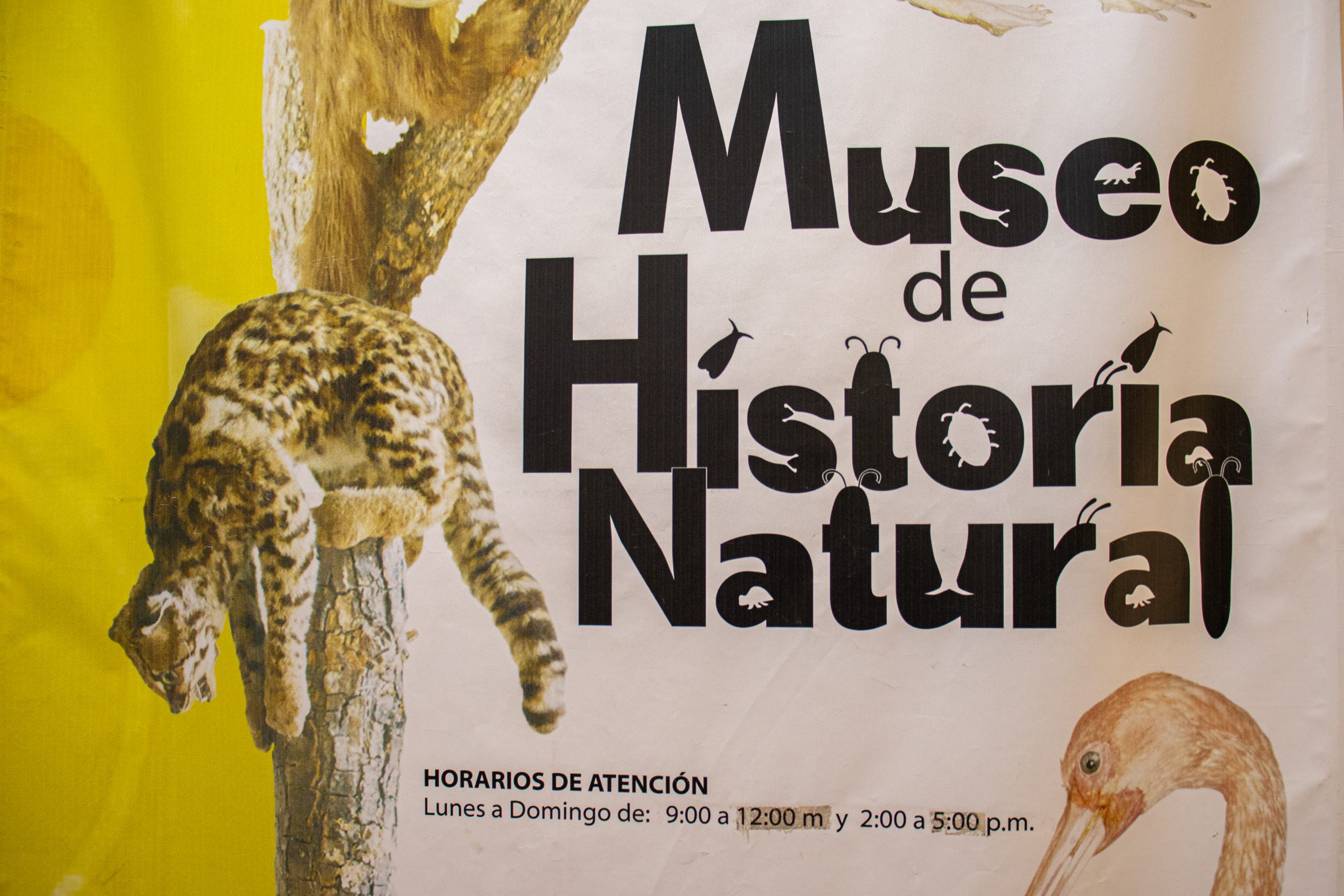 Imagen de Museo de Historia Natural